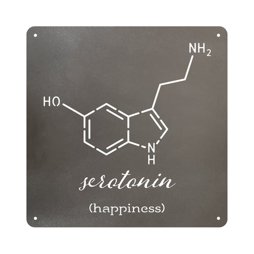 12 x 12 Metal Wall Art - Serotonin